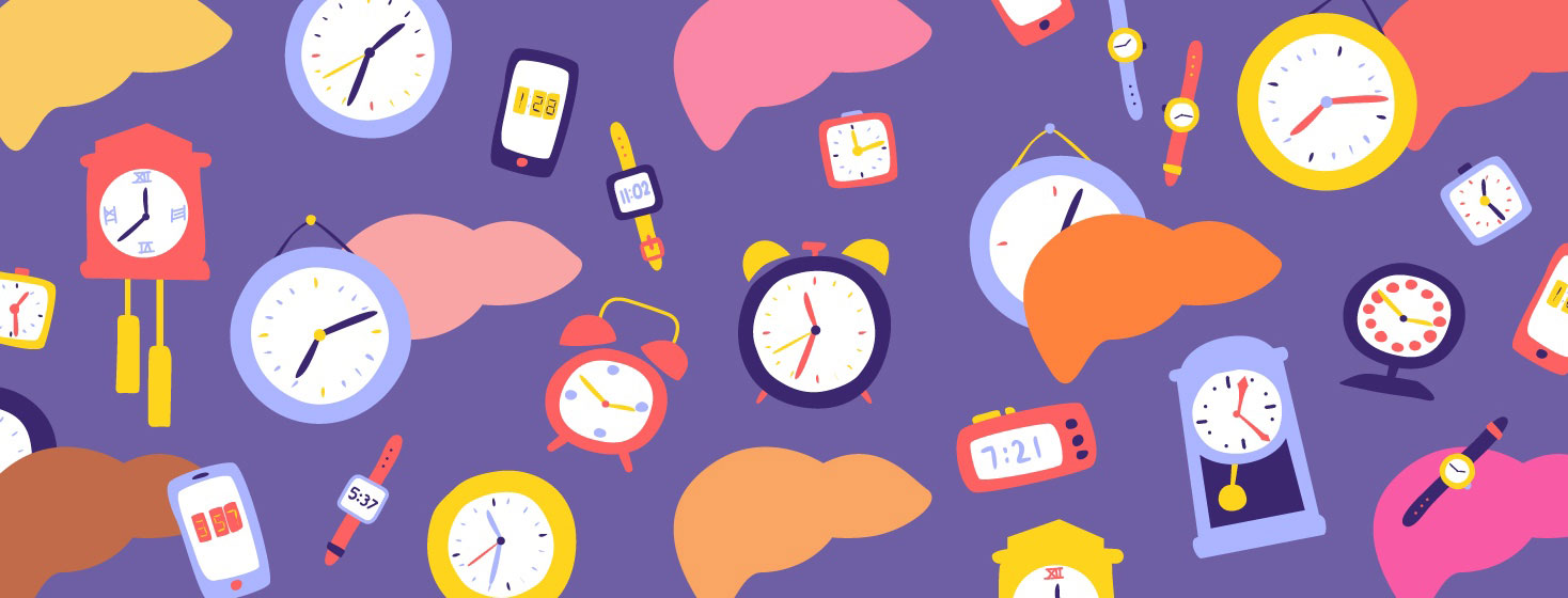 How Long Does It Take For The Liver To Heal After Hepatitis C Treatment?